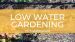 how to grow a dry garden low water garden