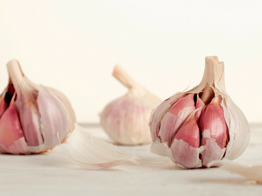 how to grow biodynamic garlic