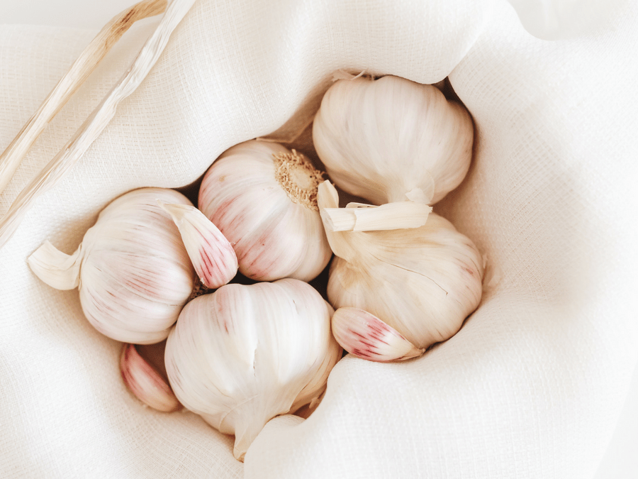 how to grow organic garlic