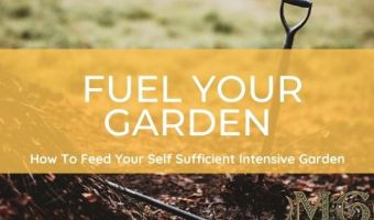 intensive gardening compost