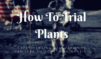 why to trial new plants