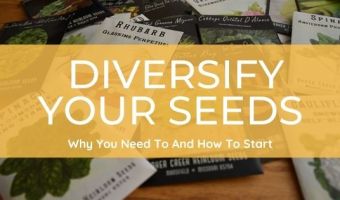 now is the time to diversify your seeds