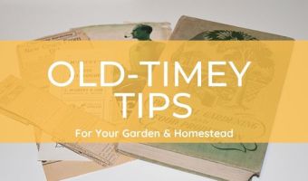 old time homestead and garden tips