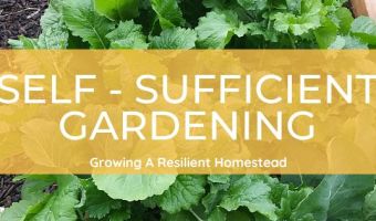 self-sufficient gardening