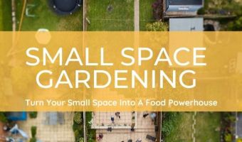 small space gardening