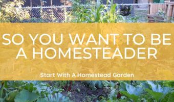 how to start homesteading