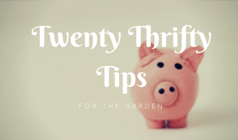 thrifty tips for the garden