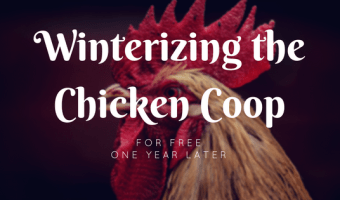 winterize a chicken coop for free